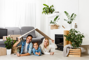 Remote Home Assessment: Safe Home, Safe Family